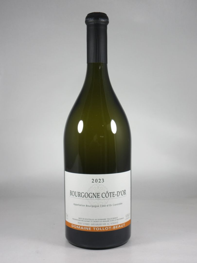 ブルゴーニュ　2007 白ワイン シャトー・ド・フュイッセ ブルゴーニュ 白 2024 750ml 【白ワイン