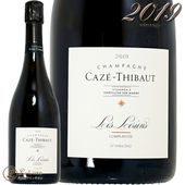 2019 ꥢ  ƥܡ  ѥ  ɸ 750ml Caze Thibaut Leriens