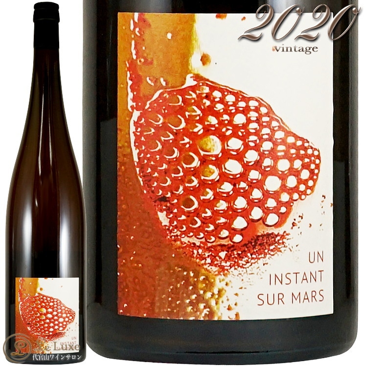 2020 アン ナンスタン シュル マルス ヴィニョブル デュ レヴール 正規品  オレンジワイン 辛口 750ml Vignoble du Reveur Un Instant sur Mars