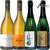 2020 ֥르˥ ꥴơ1908 ɥ᡼ 롼 ǥޤ4ܥå