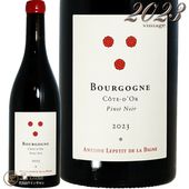 2023 ֥르˥  ɡ ԥ Υ ȥ ץƥ   ӡ˥  ֥磻 750ml Antoine Lepetit de la Bigne Bourgogne Cote d'Or Pinot Noir