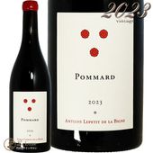 2023 ݥޡ ȥ ץƥ   ӡ˥  ֥磻 750ml Antoine Lepetit de la Bigne Pommard