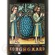 2023 �����ơ��� �ۥ磻�� �ʥ� �����졼 ���󥰥������� ������ ��磻�� �ɸ� 750ml Kongsgaard Estate White Napa Valley