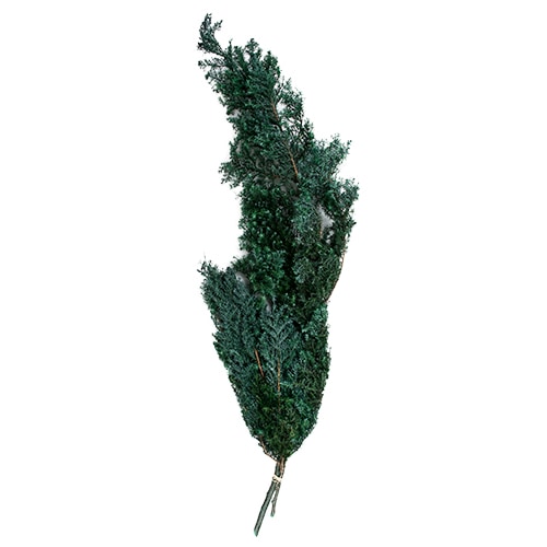 ヒムロスギ グリーン | 建築模型材料,芝・草・樹木の表現,ドライ