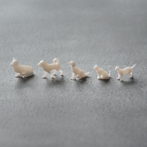 レモン 動物模型 犬・猫 1/50