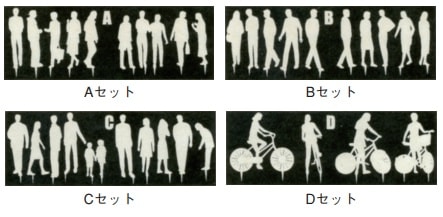 エスティパース 人物模型