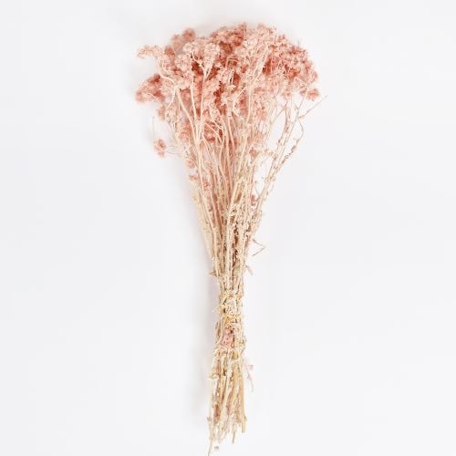 クリスパム  シルキーピンク