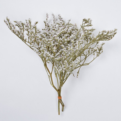 タタリカ ナチュラル