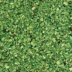 JORDAN パウダー(粒)タイプ グリーン