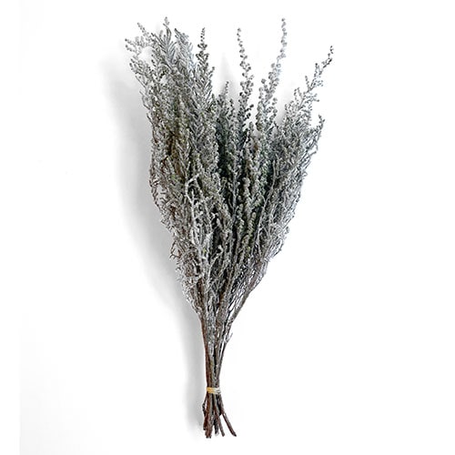 ストーベ フロッキーグリーン