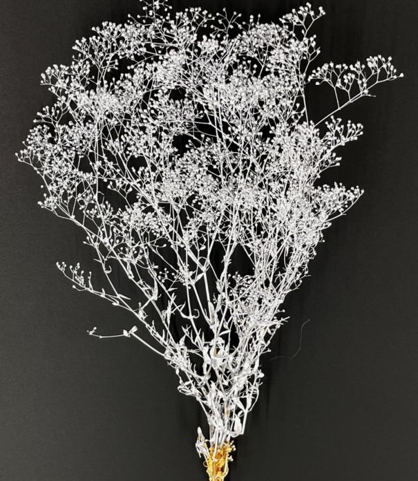 カスミ草 シルバー 21g