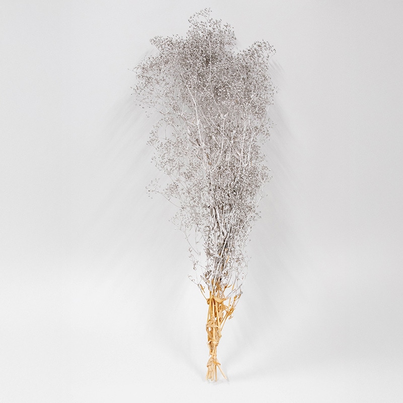 カスミ草 プラチナ 21g