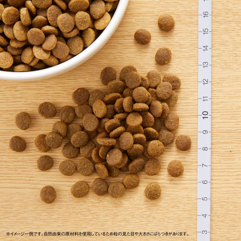 ˥塼ȥ 磻 쥷 Ķ-   2kg̵