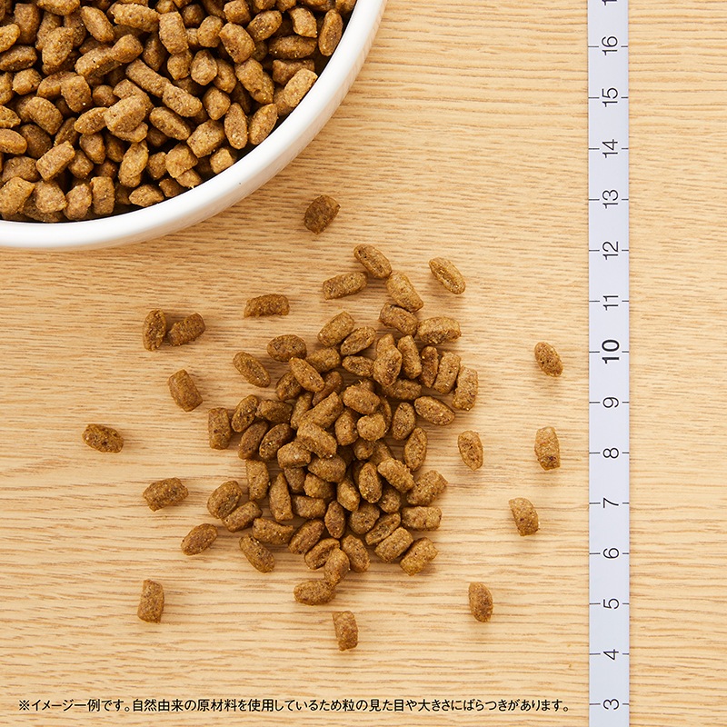 ˥塼ȥ ץ ҸѾγ 1kg