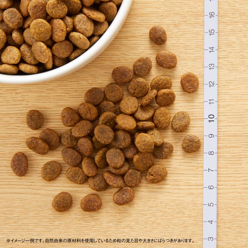 �˥塼�ȥ� �磻��ɥ쥷�� Ķ����-�������� ������ �������� 2kg������̵����