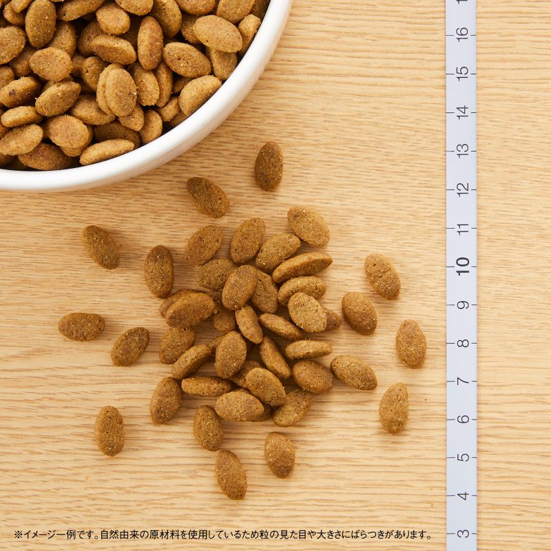 �˥塼�ȥ� ����ץ�⾮������ ������ 6kg������̵����