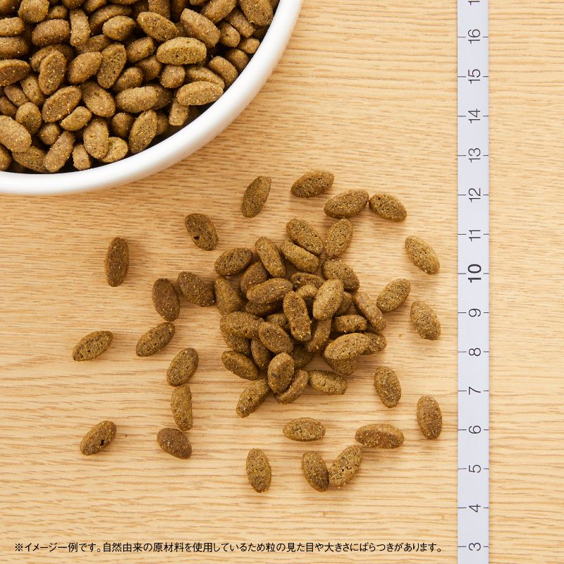 �˥塼�ȥ� �ʥ�������祤�� ����å� ����ǭ�� �������󥰥���(���˥�) ������ 400g