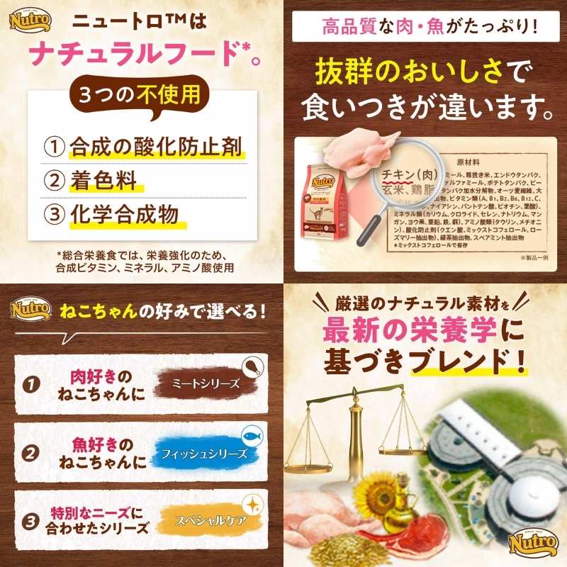 �˥塼�ȥ� �ʥ�������祤�� ����å� ����ǭ�� �������󥰥���(���˥�) ������ 400g