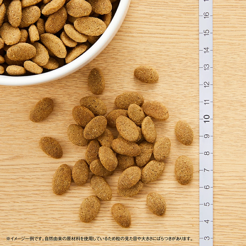˥塼ȥ ץ 淿-緿 νŴ 13.5kg̵