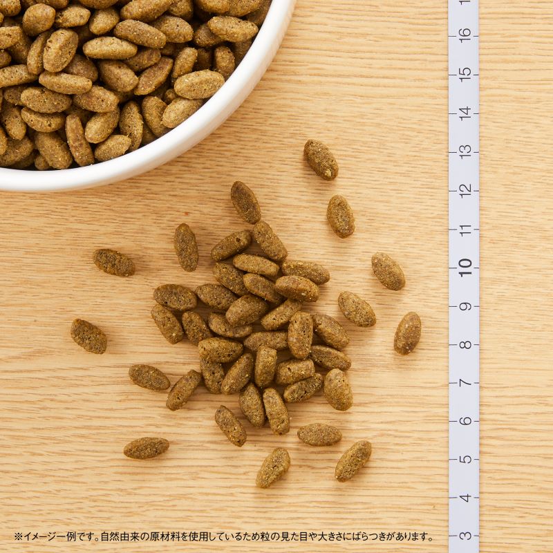 �˥塼�ȥ� �ʥ�������祤�� ����å� ��ǥ������ǭ�� ������� ��ȵ� 2kg������̵����