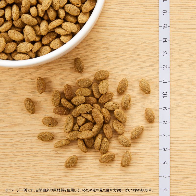 �˥塼�ȥ� �ʥ�������祤�� ����å� ������ ������� ������ 2kg������̵����