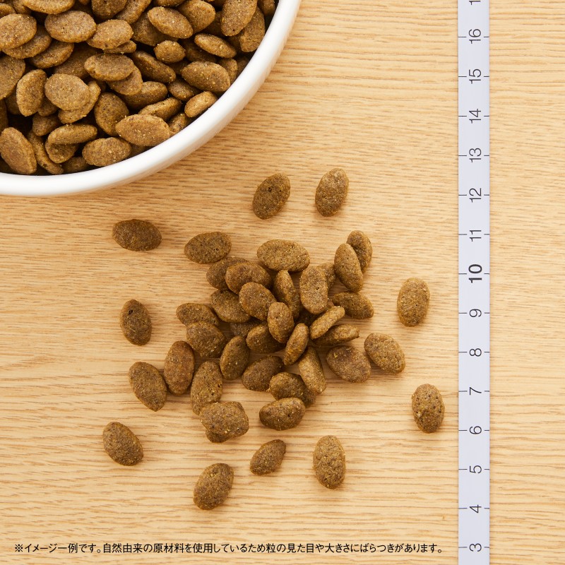 �˥塼�ȥ� �ʥ�������祤�� ����å� ��ʪ�ե꡼ ������� ���å� 2kg������̵����