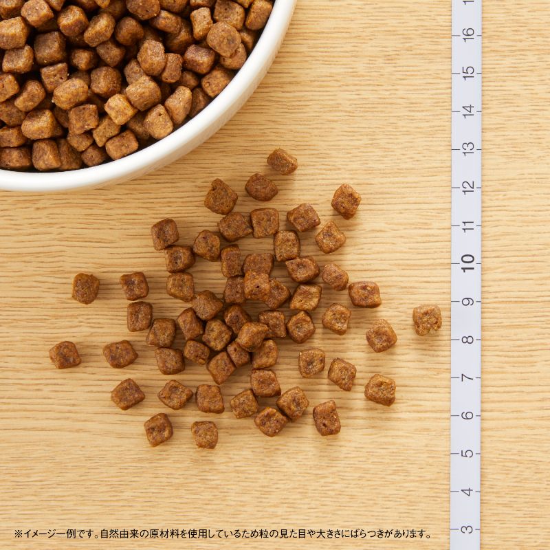 ˥塼ȥ ʥ祤  Ҹ Ķ-淿 1kg