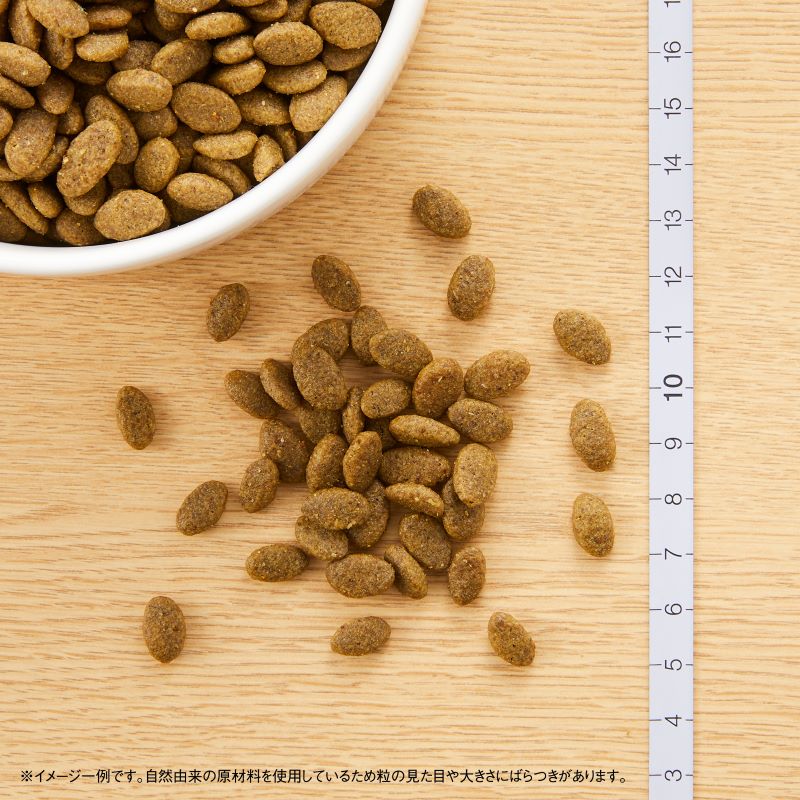 ˥塼ȥ ʥ祤 å ʪե꡼   2kg̵