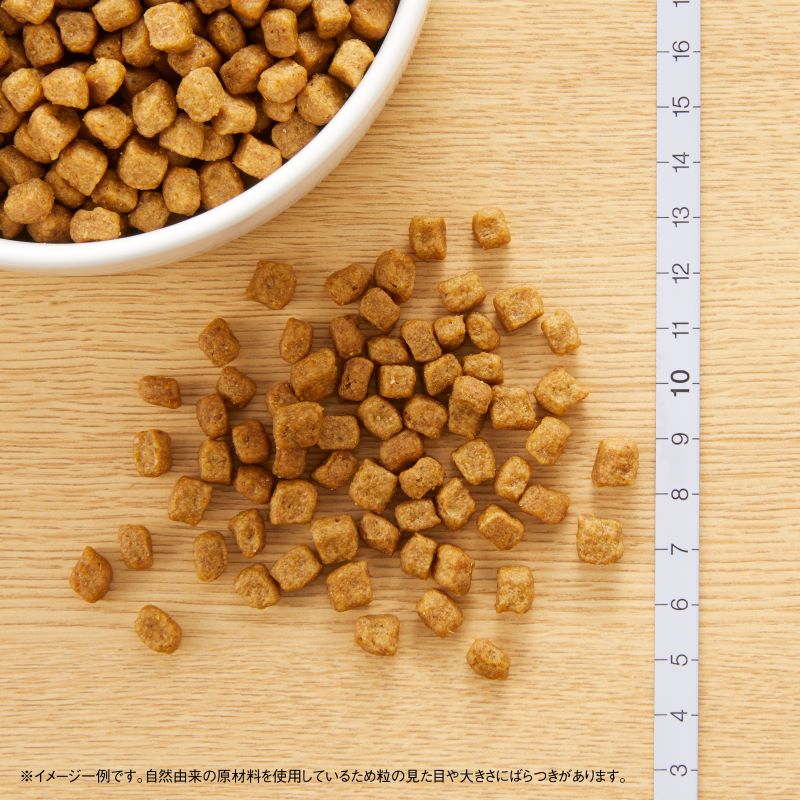 �˥塼�ȥ� �ʥ�������祤�� ����������� ������ �������� 1kg