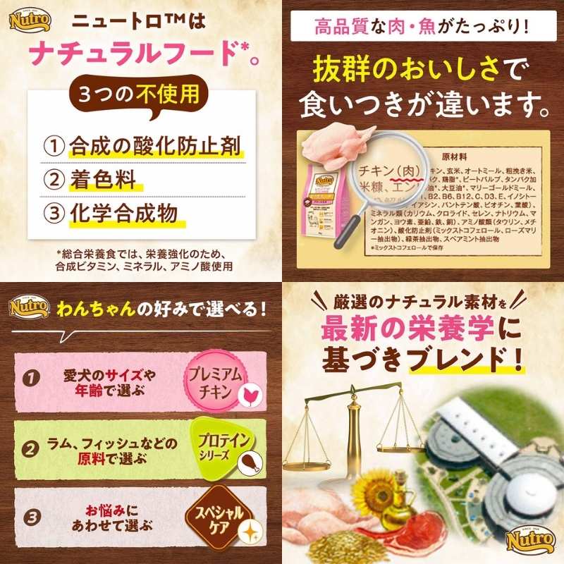 �˥塼�ȥ� �ʥ�������祤�� ����������� ���˥�����(�������󥰥���) �������� 6kg������̵����