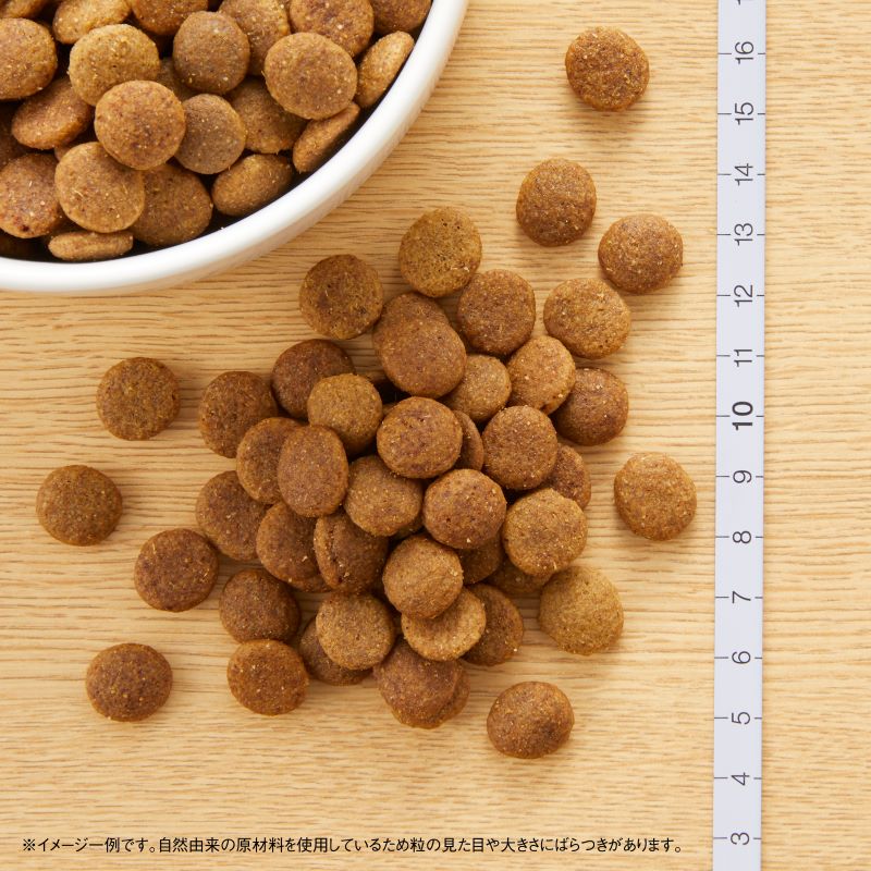 �˥塼�ȥ� �ʥ�������祤�� ����������� �Ҹ��� �緿���� 15kg������̵����