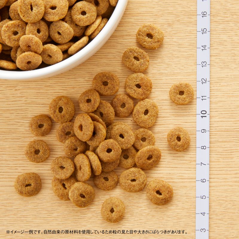 �˥塼�ȥ� �ʥ�������祤�� ����������� ���˥�����(�������󥰥���) �淿��-�緿���� 4kg������̵����