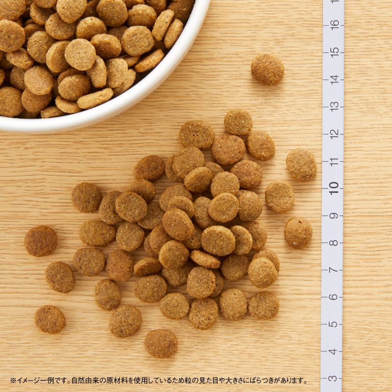 �˥塼�ȥ� �ʥ�������祤�� �������� �Ҹ��� �������� 3kg������̵����