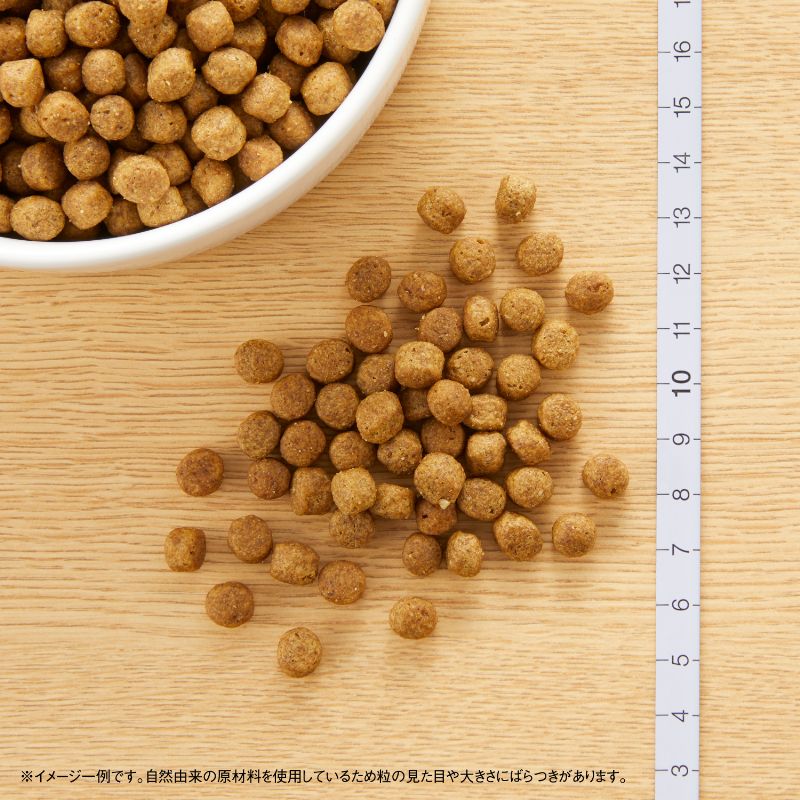 �˥塼�ȥ� �ʥ�������祤�� �������� ������ Ķ������-�������� 1kg