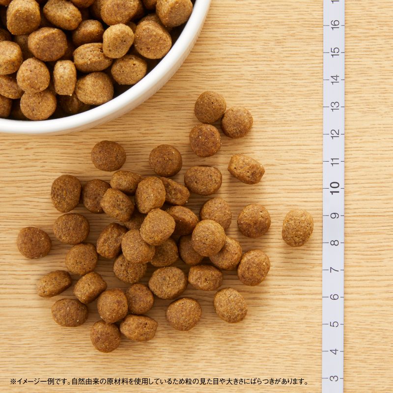 �˥塼�ȥ� �ʥ�������祤�� �������� ������ �淿��-�緿���� 7.5kg������̵����
