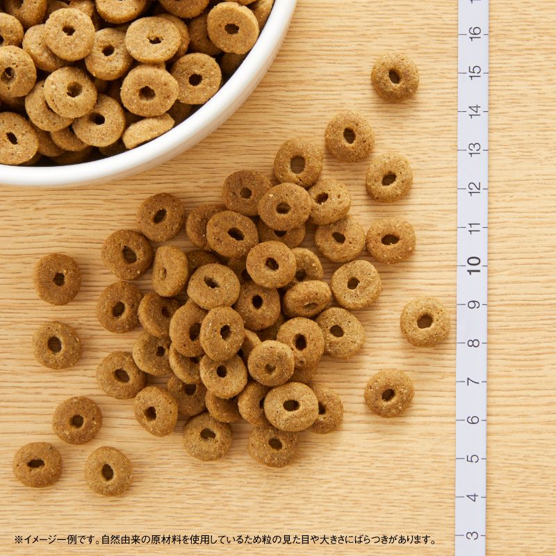 ˥塼ȥ ʥ 祤  淿-緿 󥰥 7.5kg̵