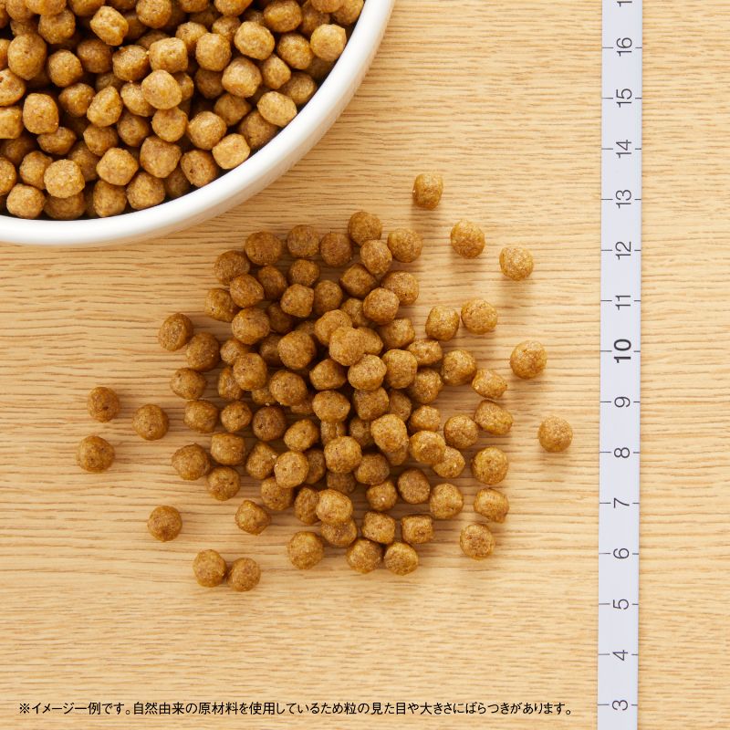 �˥塼�ȥ� �ʥ����� ���祤�� ���������� Ķ������-�������� ������ 2kg������̵����