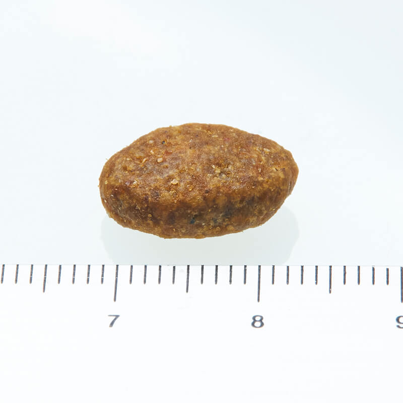 �˥塼�ȥ� ����ץ�� Ķ���������������� ������ �ץ�ߥ���֥��� ��� 1.5kg