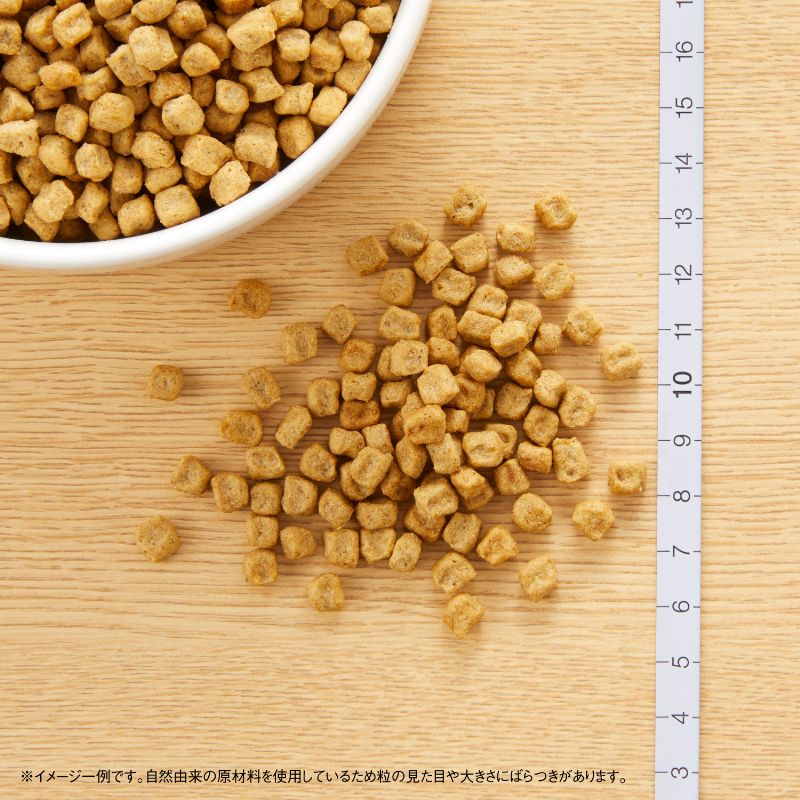 �˥塼�ȥ� �ʥ�������祤�� ��ǥ���������� ����������� ������ Ķ������-�������� 6kg������̵����