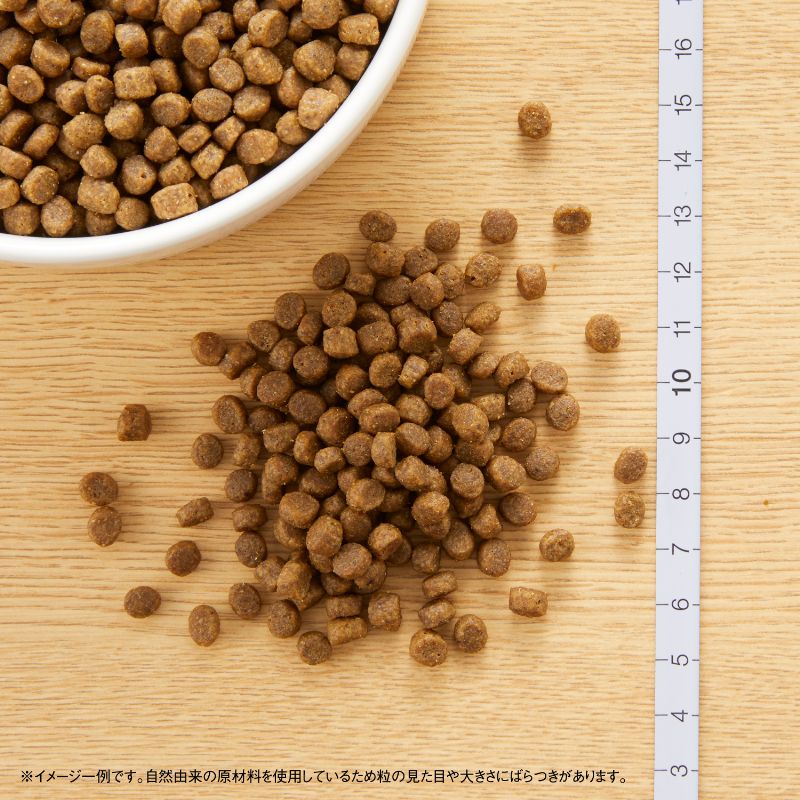 �˥塼�ȥ� �磻��ɥ쥷�� ����å� ���ȥ� ������ 1kg