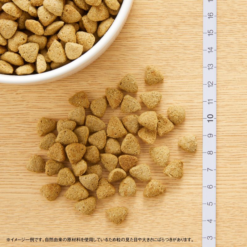 �˥塼�ȥ� �ʥ�������祤�� ������ �������� ������ �������� 2kg������̵����