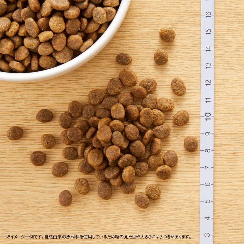 �˥塼�ȥ� �磻��ɥ쥷�� Ķ����-�������� �Ҹ��� �������� 4��g������̵����