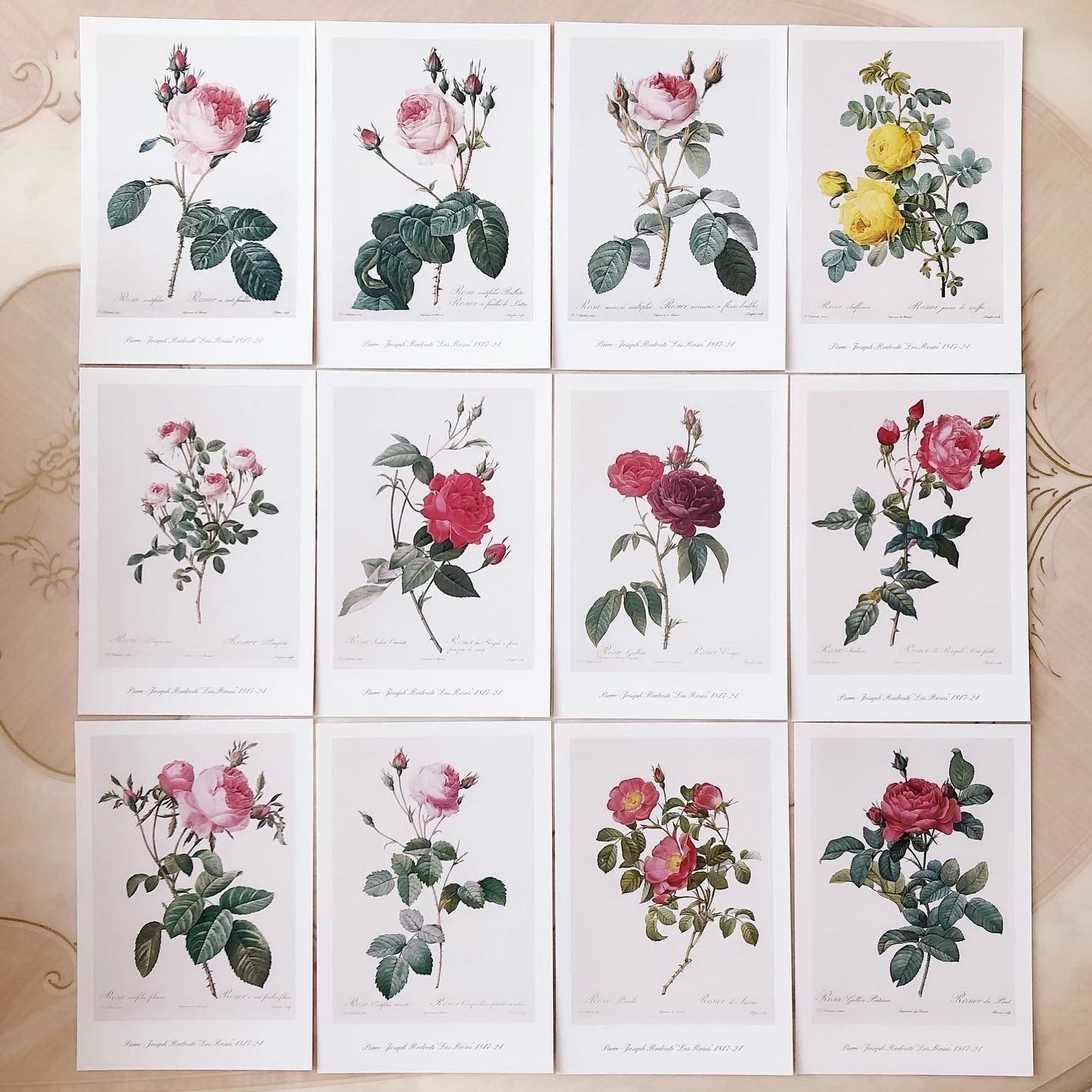 【メール便可】　ルドゥーテポストカードセット（２４枚・ケース入り）　【薔薇雑貨　絵葉書　ハガキ　メッセージカード　グリーティングカード】