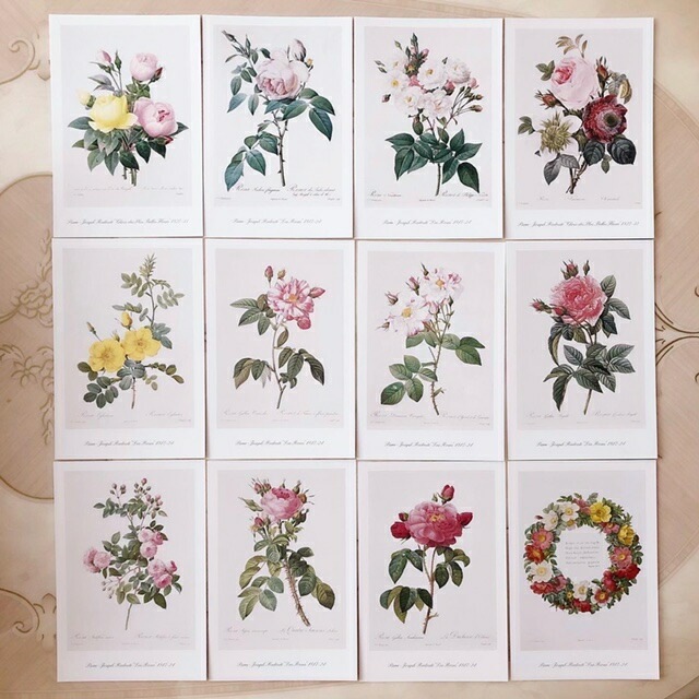 【メール便可】　ルドゥーテポストカードセット（２４枚・ケース入り）　【薔薇雑貨　絵葉書　ハガキ　メッセージカード　グリーティングカード】