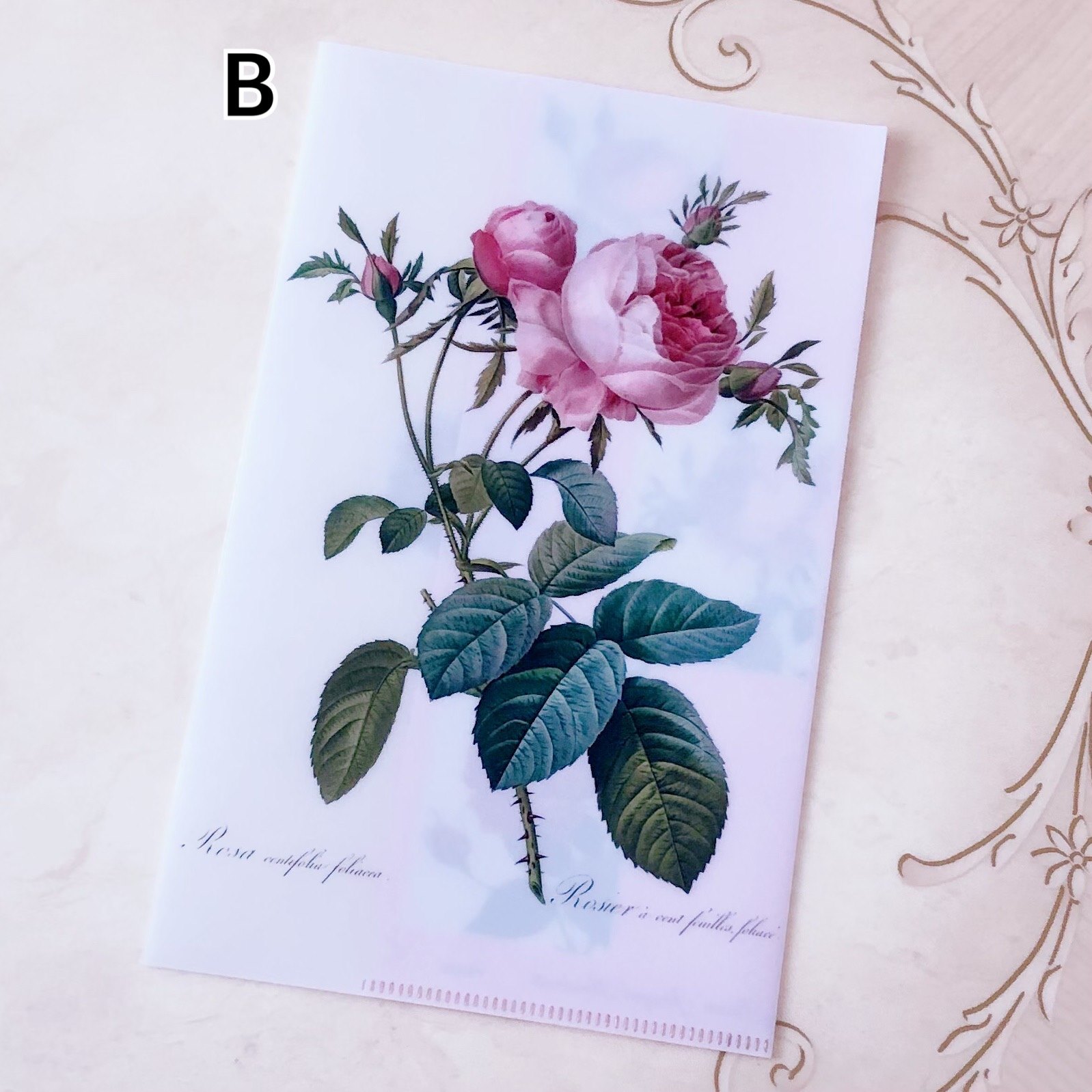 クリアファイル(バラ可) バラ売り可】syudou商店くじ クリアファイル10