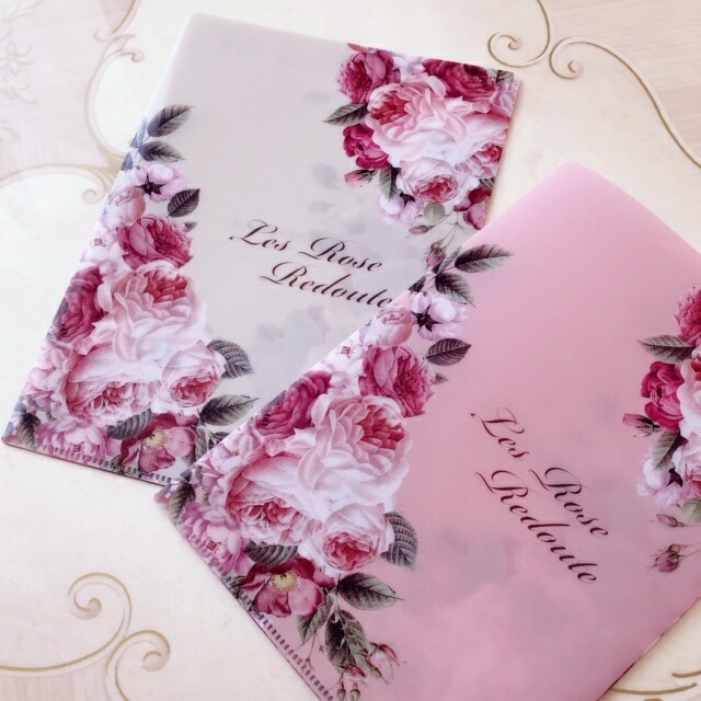 【メール便可】　日本製　ルドゥーテブロッサム　抗菌マルチケース２枚セット（A5サイズ）　【クリアケース　クリアファイル　マスクケース】