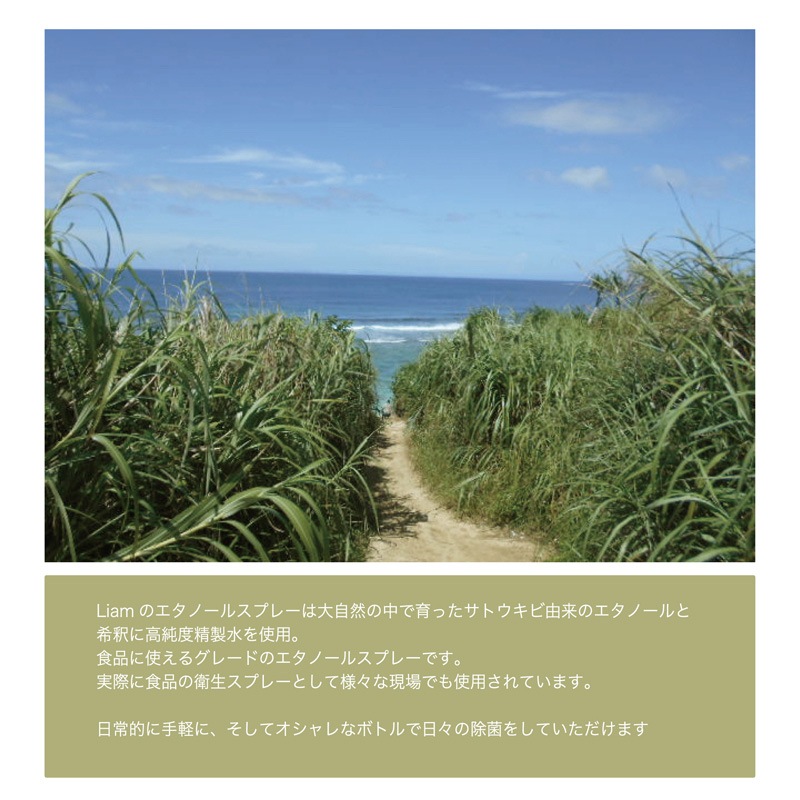Liam TERRA(テラ) 除菌・消臭ルームスプレー＆ファブリックミスト 250ml