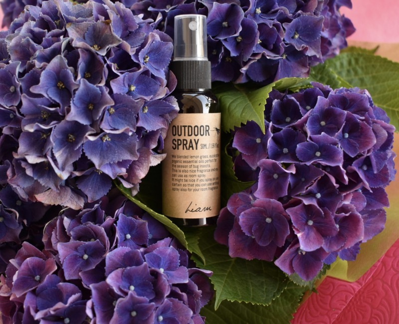 Liam TERRA(テラ) 消臭ルームスプレー＆アウトドアスプレー 50ml 携帯サイズ