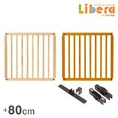 ѡơ FLEX  ɲåѥͥ 1 