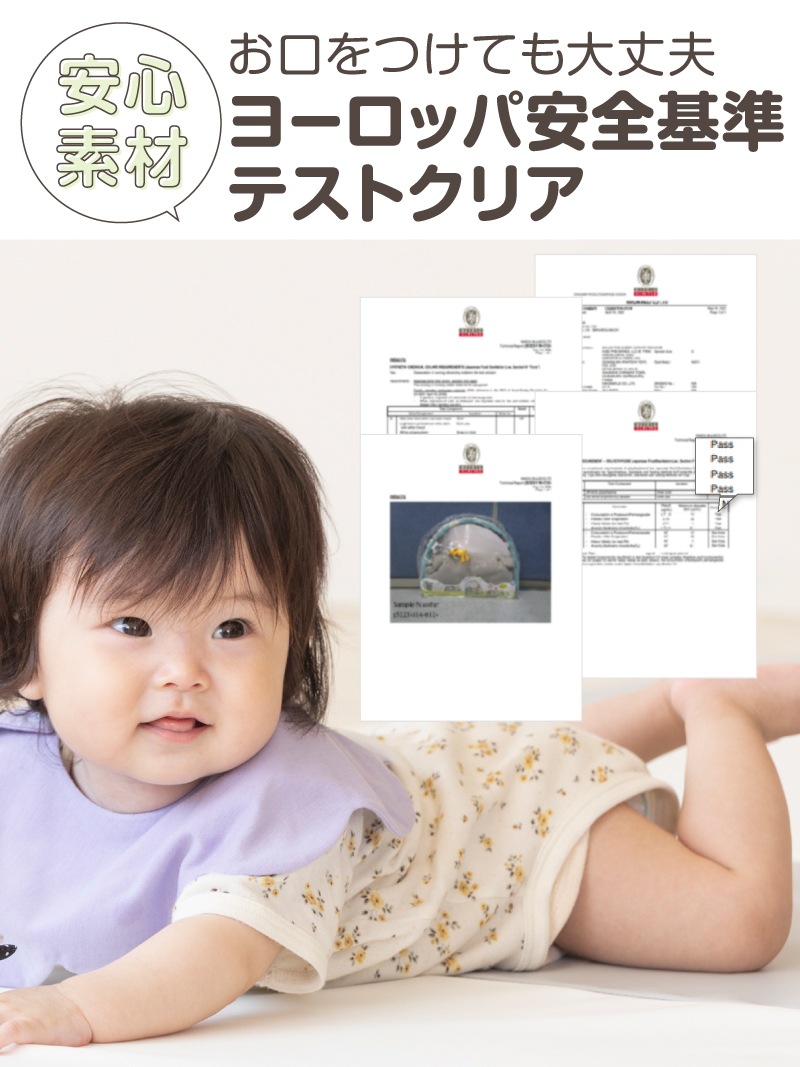 �ҤĤ��Υ��硼�� �����ƥ��ӥƥ� �ץ쥤����